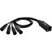 Adam Hall Cables 4 STAR CATBOX XM5 - Audio & DMX Adapter 5-Pin XLR Male x Cat.6a