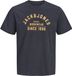 JACK & JONES JPRBLUTHOR SS TEE FST Heren T-shirt