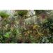 LUMALÉA Papier Peint Panoramique Feuilles Tropicales