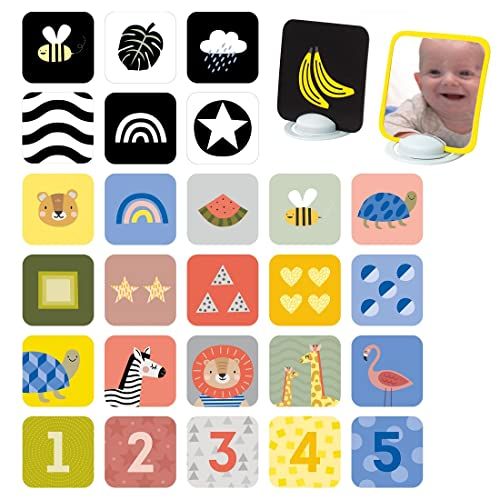 Taf Toys Activiteiten, kleur, 12835