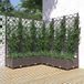 Maison Exclusive - Jardinière avec treillis, marron, 120 x 120 x 121,5 cm, PP