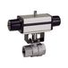 RIEGLER 103590-351.521 roestvrijstalen kogelkraan, pneumaat. Aandrijving, eenvoudig werkend, Rp 3/4, 1 stuk