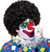 Widmann - Afro Clownpruik Krullen, Zwart