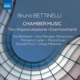 Chamber Naxos Trio Bettinelli, Duo Perugini-Pianezzola, Manuela Custer, Paola Dusio, Davide Ficco, Diego Milanese - Chamber Music - Trio - Improvvisazione - Due Movim (CD)