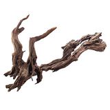 amtra Ikebana Hout, 30-50 cm