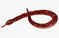 Cornelissen Knuffeldier Regenboog Boa slang - Rood - 100 cm