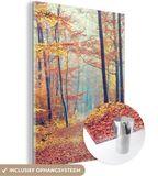 MuchoWow® Glass Painting 60x80 cm - Acrylic Glass Painting - Forest - Autumn - Leaves - Photo on Glass - Paintings