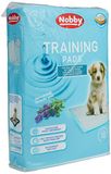 Nobby trainingspads Lavendel; 10 stuks; L ; 60 x 60 cm