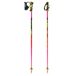 LEKI Bâtons de ski WCR Evo Lite SL TR
