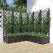 Maison Exclusive - Jardinière avec treillis, noir, 120x120x121,5 cm, PP