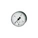 RIEGLER 101838-216 standaard manometer, plaatstaal, G 1/4 achter, 0-6,0 bar, Ø 63, 1 st.