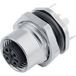 binder 86 0532 1120 00008-20 Sensor/actuator connector, niet geassembleerd M12 Aantal polen (sensoren): 8 Bus, recht, Flensbus 1 stuk(s)