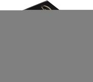 Fender '65 Strat Pickguard pré-câblé parchemin