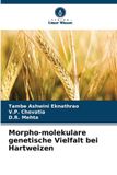 Morpho-molekulare Verlag Unser Wissen Morpho-molekulare genetische Vielfalt bei Hartweizen Paperback
