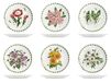 Set H&H Flowers Set van 6 platte bloemenborden van porselein, gedecoreerd, 27 cm
