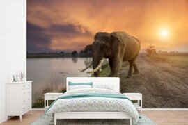 Nr1Wallpaper Behang - Fotobehang Olifant loopt richting het meer - Breedte 525 cm x hoogte 350 cm