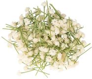 Ibenzoa® Realistisch ogenschijnlijk echt kunstmatig gipskruid (Gypsophila) – crème