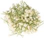 Ibenzoa® Realistisch ogenschijnlijk echt kunstmatig gipskruid (Gypsophila) – crème
