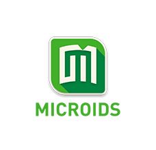 Microids Asterix & Obelix XXL 2 Collector's Edition - Nintendo Switch