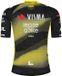 RAPIDGEAR Team Visma Lease A Bike Tdf25 Replica Maillot Cyclisme Vert L Homme