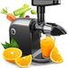 Merkloos Fruitpers Electrisch Zwart/Zilver