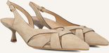 Stefano Lauran St2639 Hakken Dames Beige Maat 36