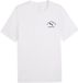 PUMA CLASS GRAPHIC T-SHIRT 68821902 XL