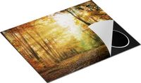 Chefcare Inductie Beschermer Herfstbos met Zonneschijn - 65x52 cm