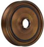 IJS GROUP 17-1074 tandriem