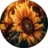 Panneau mural tournesol - Forex - 60x60 cm - Jaune/Vert/Brun/Noir/Blanc