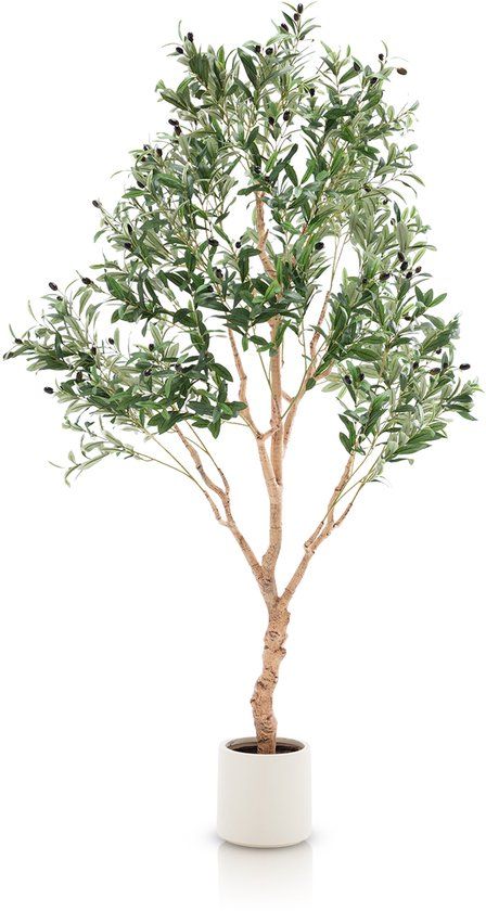 Meisterhome Kunst Olijfboom 180 cm - Realistische Kunstboom met Olijven - Onderhoudsvrij