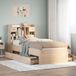 Maison Exclusive - Bibliothèque lit sans matelas 75x190 cm bois de pin massif
