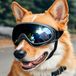 Hundesonnenbrille, mit UV-Schutz, wasserdichte Brille für Hunde, große Hundesonnenbrille, geeignet für Skifahren