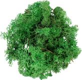 My Village Rendiermos groen 50 g