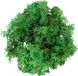 My Village Rendiermos groen 50 g