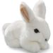 Carl Lapin, blanc, 17 cm, peluche