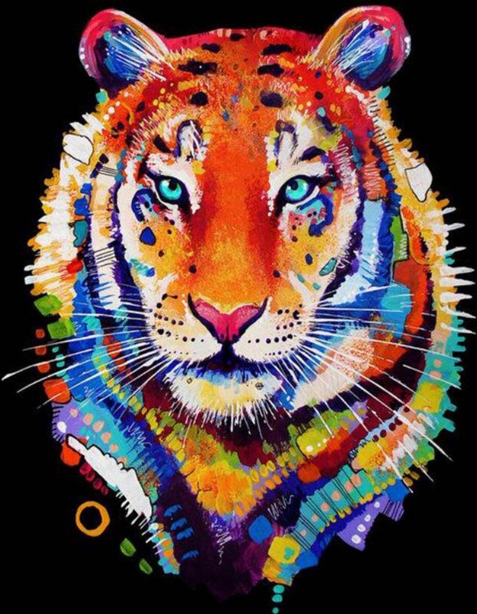 Crafts & Co. Diamond Painting Canvas Tijger - 30 x 40 cm