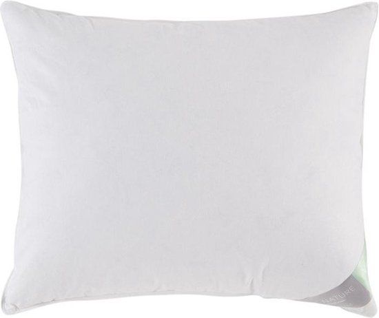Vandyck Hoofdkussen Pure Nature 60 x 70cm 15% ganzendons