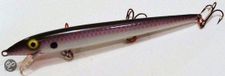 Rapala Flottant Arc-en-ciel Truite (F13 Rt) 13 cm