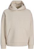 JACK&JONES JJEBARRON SWEAT HOOD Heren L Moonbeam