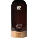 WHAMISA Organic Flowers Foam Cleansing Cream with Aloe Vera, Chrysanthemum, and Green Tea Extract 200ml