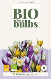 JUB Crocus sp. mix 15st