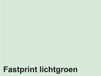 Fastprint Kopieerpapier A4 120gr lichtgroen 250vel