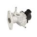 Delphi Technologies EG10483-12B1 EGR-ventiel