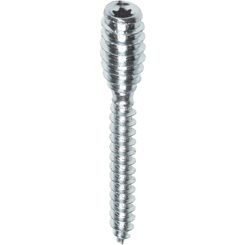 Fis Profi Afstandschroef 6,0x80 mm Torx 25 - 40 stuks