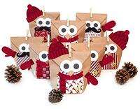 Knutselset "Christmas OWL RED" - 24 stuks