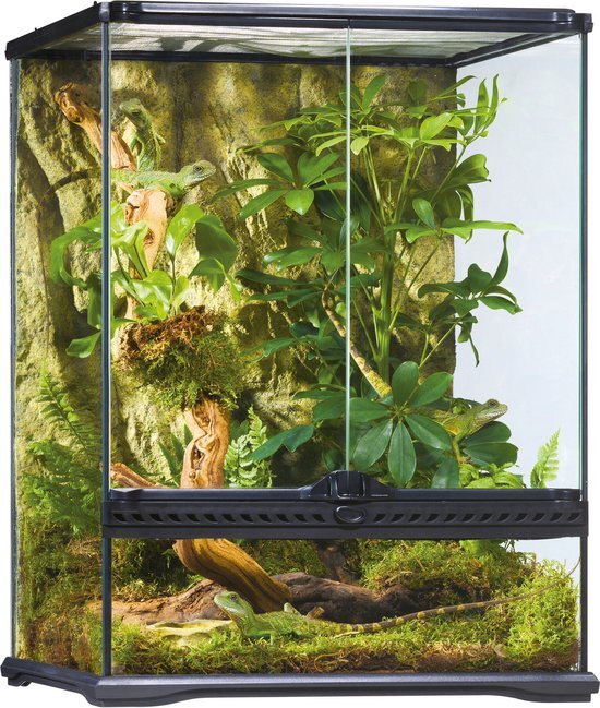 Exo Terra Rainforest Terrarium S X-tal paludarium 45x45x90cm zwart