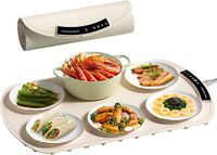 Shenzhen Haorui Industrial Technology Co., Ltd. Plaque chauffante électrique portable - Pliable, silicone, température réglable, Beige, Rectangulaire