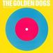 Big Golden Dogs Big Eye Little Eye