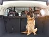 Lampa Honden - Cargo Telescoop - breedte 106-145 cm instelbaar - hoogte 30 cm